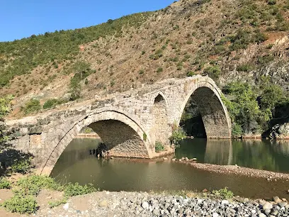 Goliku Bridge