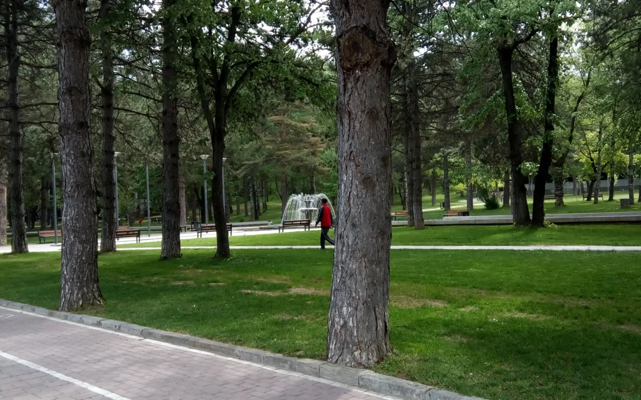 Parku Rinia