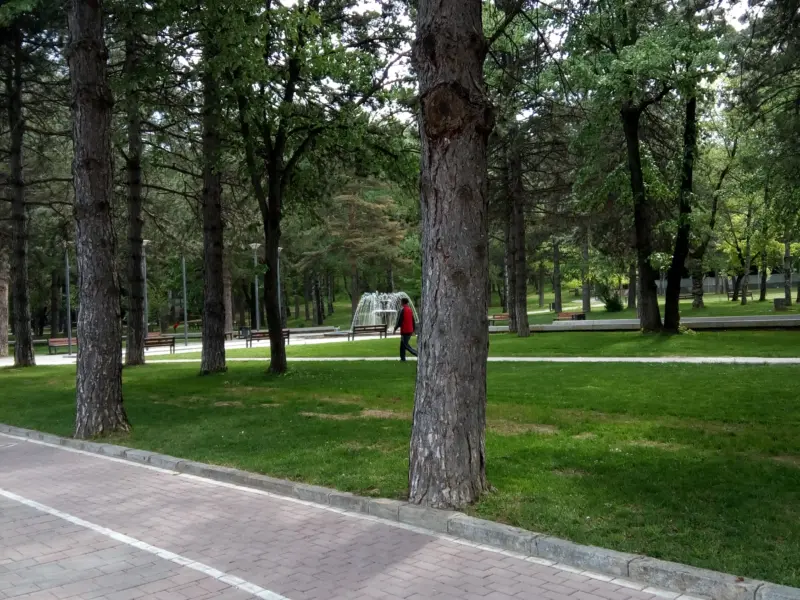 Parku Rinia