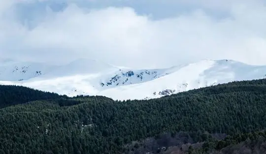 Prevalla Village