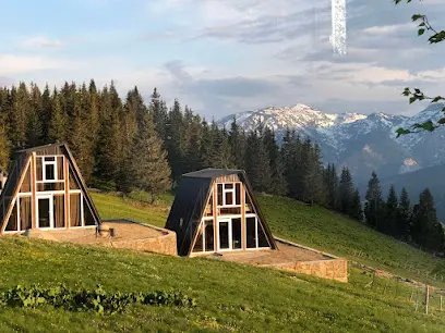 Villa Kroni i Bores, Peja